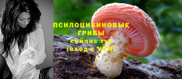 COCAINE Горно-Алтайск