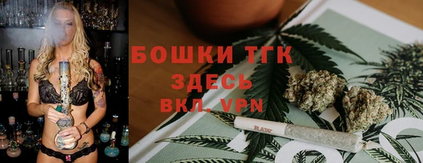 дживик Горняк