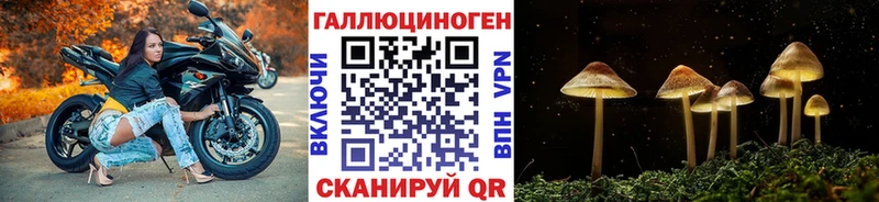 Галлюциногенные грибы Magic Shrooms  Купить где  Нариманов 